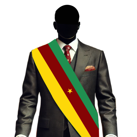 Mr.  LYONGA John EFANDE (pi)
